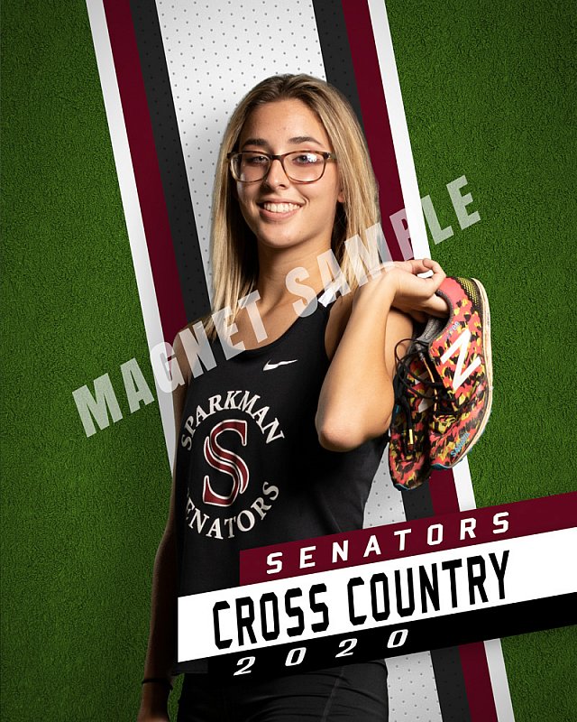 SHS Magnet-V-H-Turf.jpg