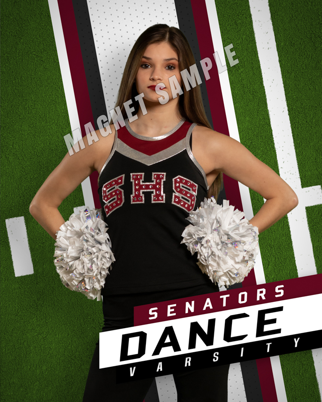SHS Magnet-V-H-Turf.jpg