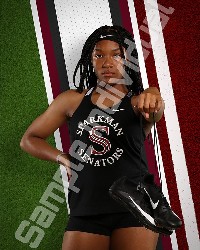 SHS Individual-V-H-Turf.jpg
